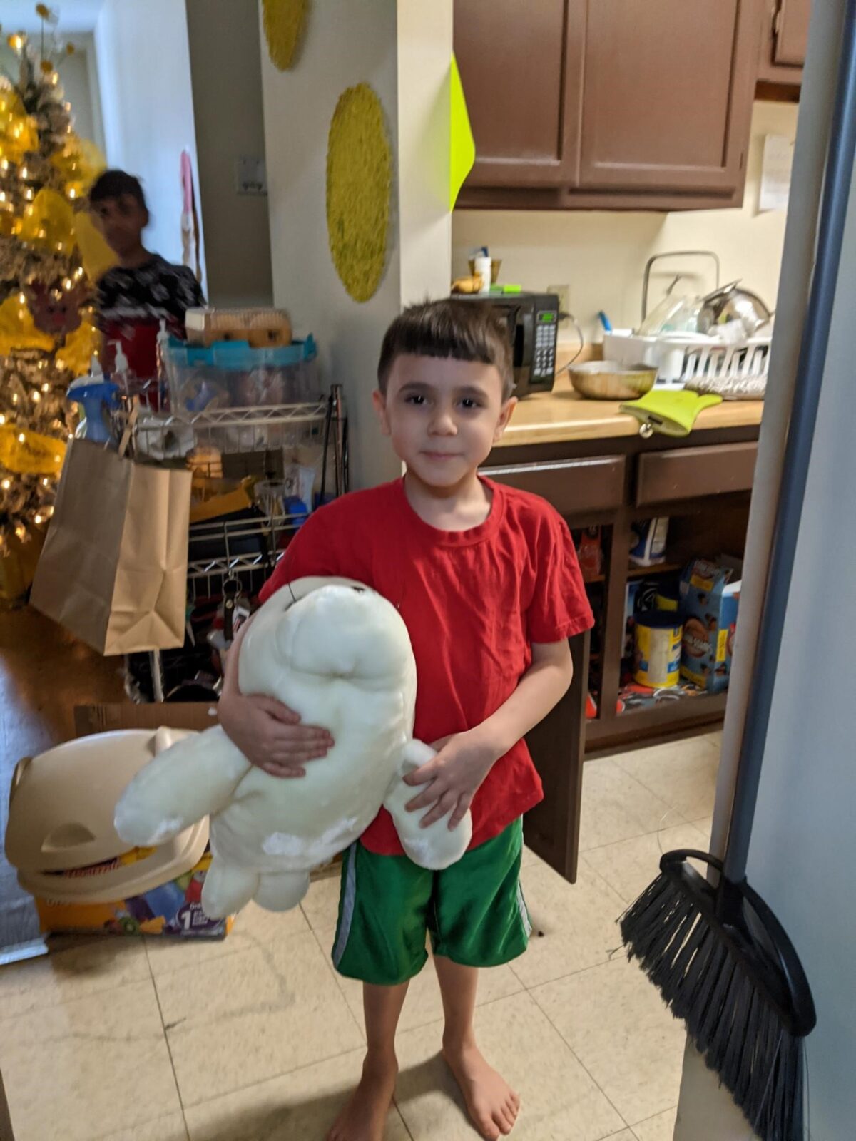 t5 Teddy Bear 2020 Result