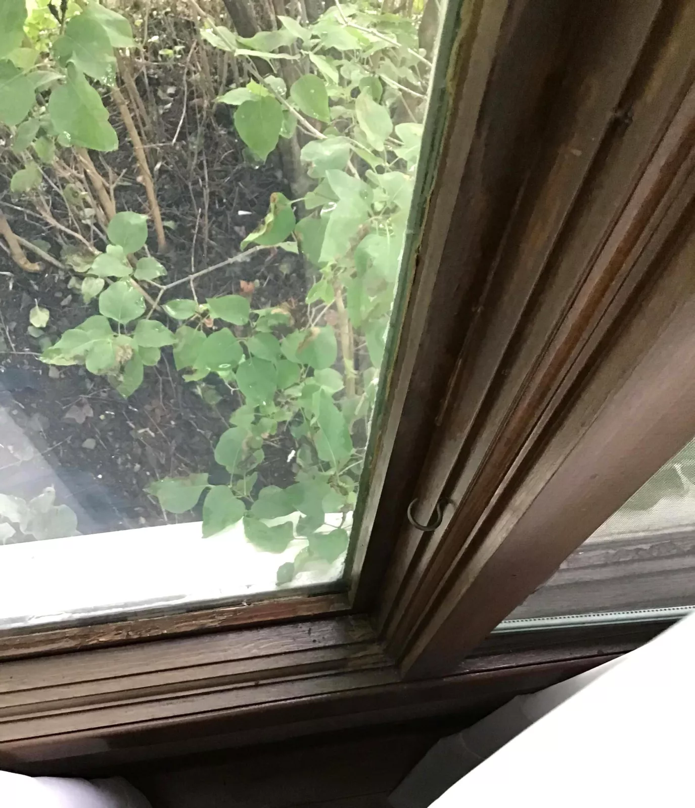 Interior damage on old windows