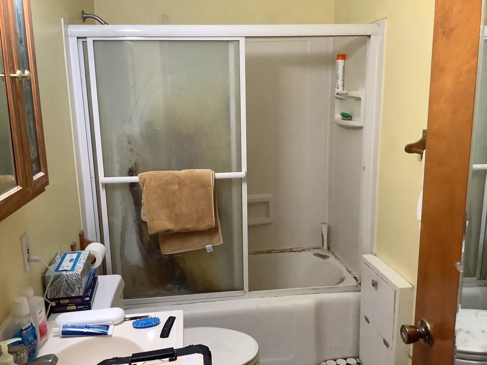 Shower before Shower area before