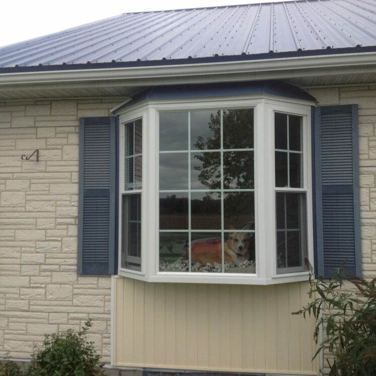 Bow,Bay,Picture_After (8)