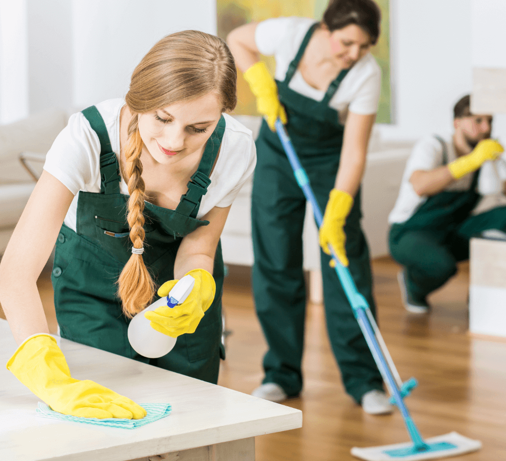 people cleaning a home