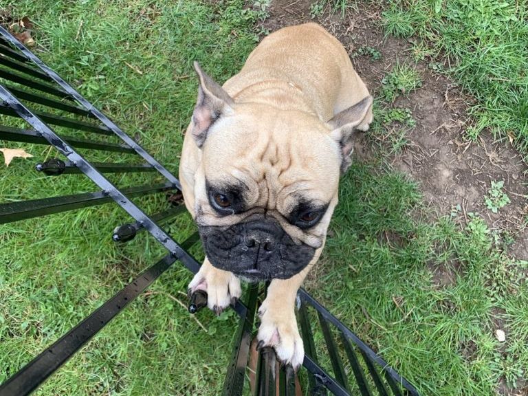 An Unexpected Helper